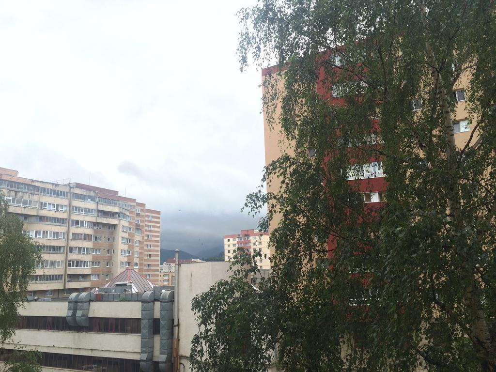 Apartment Krondays Brașov Exterior foto